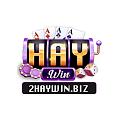 2haywinbiz