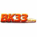BK33bkorg