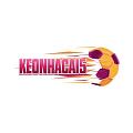 wwwbasket31tv