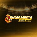 gavangtv2026com