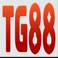 tg88altorg