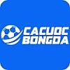 cacuocbongdavin
