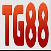 tg88altorg