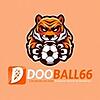 dooball661