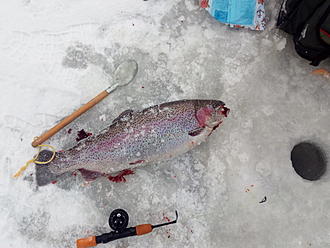 Click image for larger version

Name:	Regn190123.jpg
Views:	198
Size:	92,3 KB
ID:	2491335