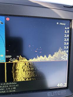 Click image for larger version

Name:	IMG_4041.jpg
Views:	118
Size:	2,24 MB
ID:	2499314