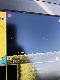 Click image for larger version

Name:	IMG_4039.jpg
Views:	113
Size:	2,76 MB
ID:	2499316