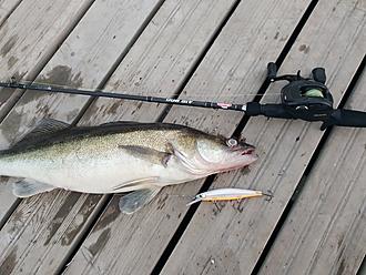 Click image for larger version

Name:	20190607_221103.jpg
Views:	597
Size:	1,84 MB
ID:	2509858