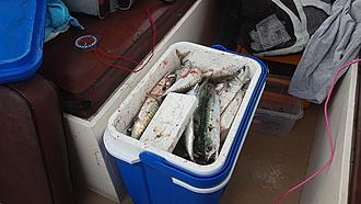 Click image for larger version

Name:	1.jpg
Views:	238
Size:	346,6 KB
ID:	2518782