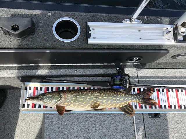 Click image for larger version

Name:	IMG_7810.HEIC.jpg
Views:	800
Size:	150,9 KB
ID:	2519889