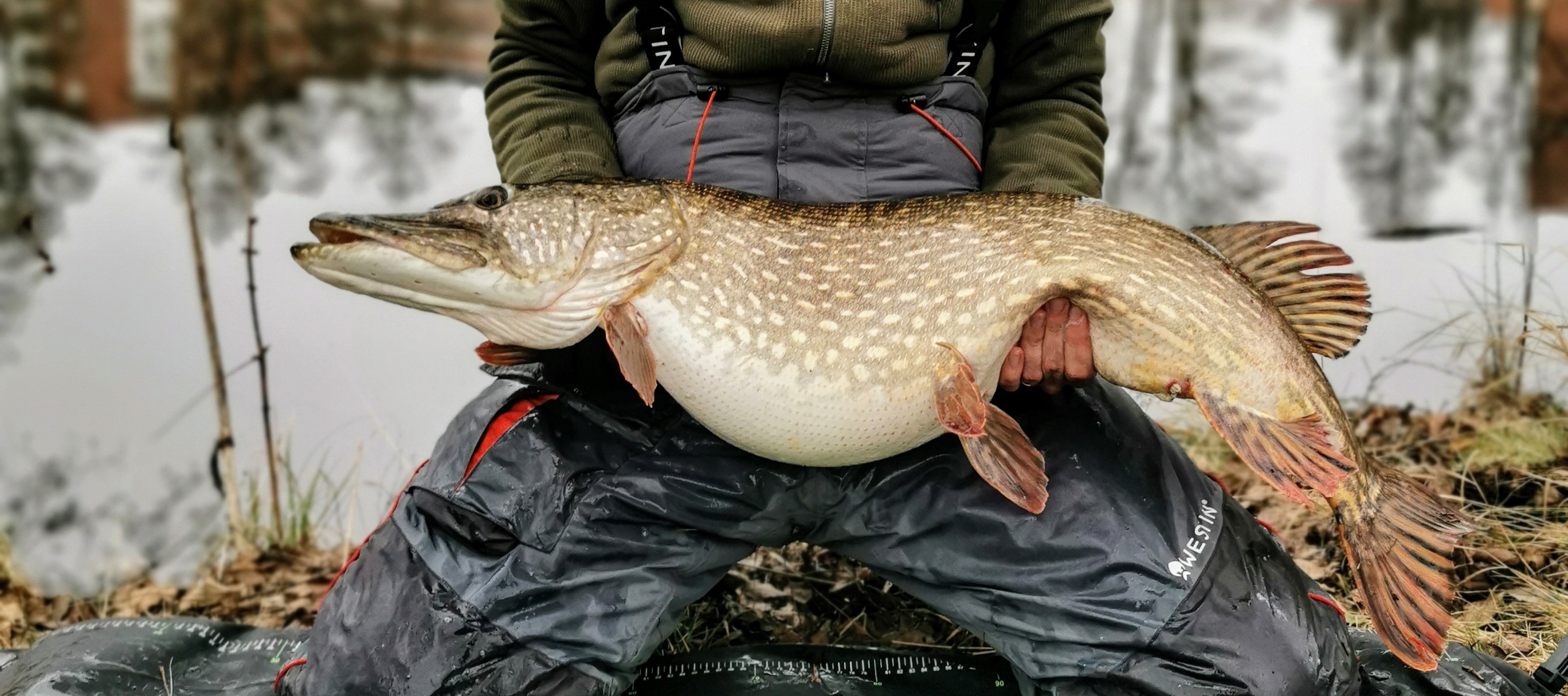 Click image for larger version

Name:	IMG_20200127_141956~21.jpg
Views:	275
Size:	732,3 KB
ID:	2533669