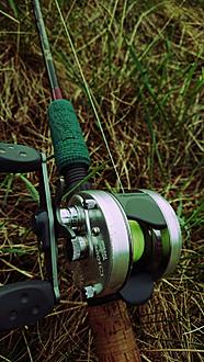 Click image for larger version

Name:	DSC_3618 (edited-Pixlr).jpg
Views:	465
Size:	210,0 KB
ID:	2545660