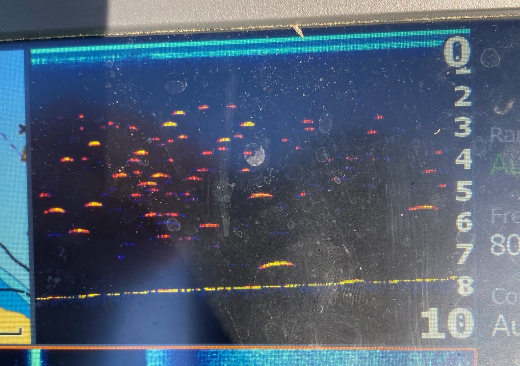 Click image for larger version

Name:	fisk2.png
Views:	709
Size:	1,29 MB
ID:	2559051