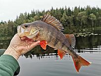 Click image for larger version

Name:	IMG_20200920_181319.jpg
Views:	999
Size:	1,98 MB
ID:	2560065