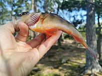 Click image for larger version

Name:	IMG_20200910_124129.jpg
Views:	1089
Size:	2,04 MB
ID:	2560066