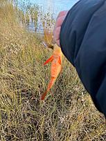 Click image for larger version

Name:	received_1405587716316642.jpeg
Views:	1261
Size:	2,02 MB
ID:	2560067