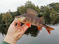 Click image for larger version

Name:	IMG_20200920_180414.jpg
Views:	321
Size:	1,64 MB
ID:	2560073