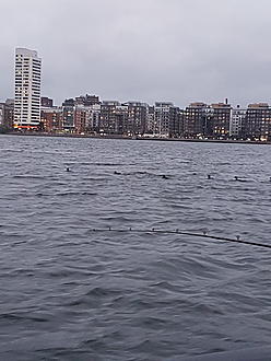 Click image for larger version  Name:	20201001_183236.jpg Views:	0 Size:	2,46 MB ID:	2560850