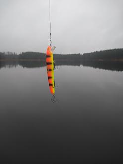 Click image for larger version

Name:	DSC_0376.JPG
Views:	208
Size:	1,20 MB
ID:	2566366