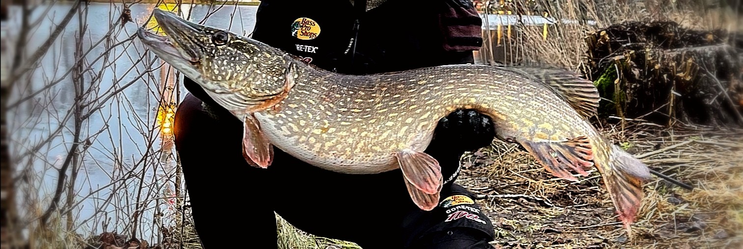 Click image for larger version

Name:	IMG_20201216_182348.jpg
Views:	198
Size:	283,0 KB
ID:	2566746