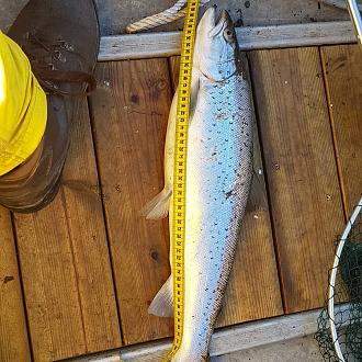 Click image for larger version

Name:	IMG_20210401_153251_953.jpg
Views:	435
Size:	314,4 KB
ID:	2575114