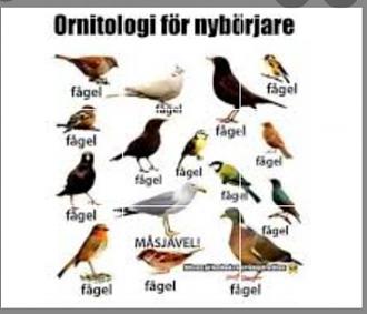 Click image for larger version

Name:	Snip-it_1626944121441.jpg
Views:	323
Size:	56,8 KB
ID:	2582654