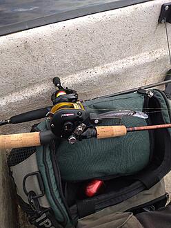 Click image for larger version

Name:	DSC_0639.JPG
Views:	549
Size:	3,71 MB
ID:	2585696