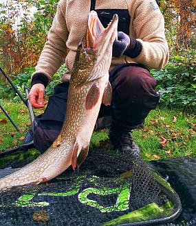 Click image for larger version

Name:	IMG_20211013_173624.jpg
Views:	370
Size:	1,86 MB
ID:	2588350