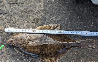 Click image for larger version

Name:	srkubba.jpg
Views:	298
Size:	415,1 KB
ID:	2593027