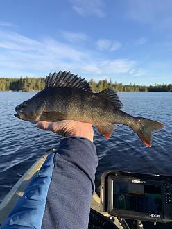 Click image for larger version

Name:	5C590A21-3AE1-4FFA-9F03-DBB3DD4B1666.jpeg
Views:	291
Size:	2,08 MB
ID:	2607750