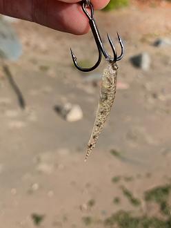 Click image for larger version

Name:	0346D093-3ED7-4F56-A28D-6FF0BDA47D1A.jpeg
Views:	353
Size:	1,32 MB
ID:	2608475