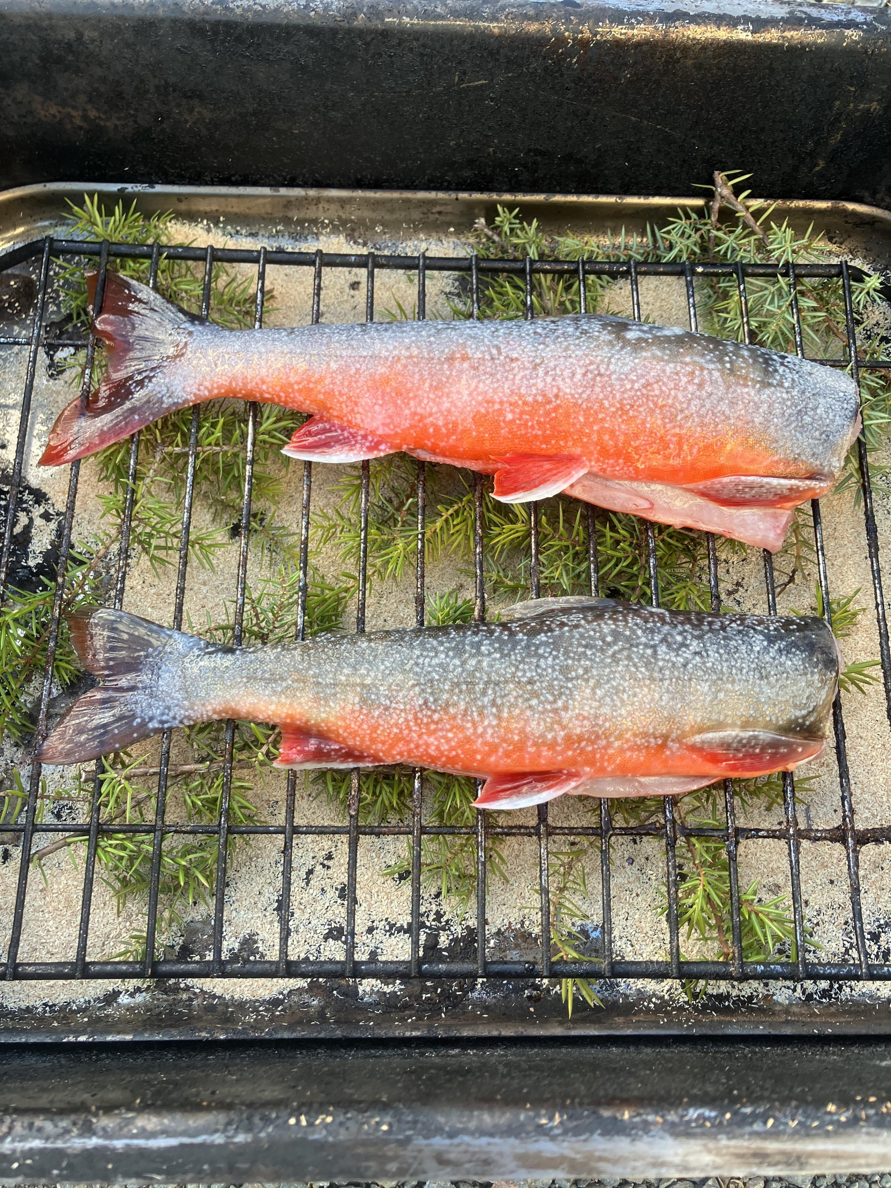 Click image for larger version

Name:	IMG_1020.jpeg
Views:	148
Size:	2,04 MB
ID:	2627630