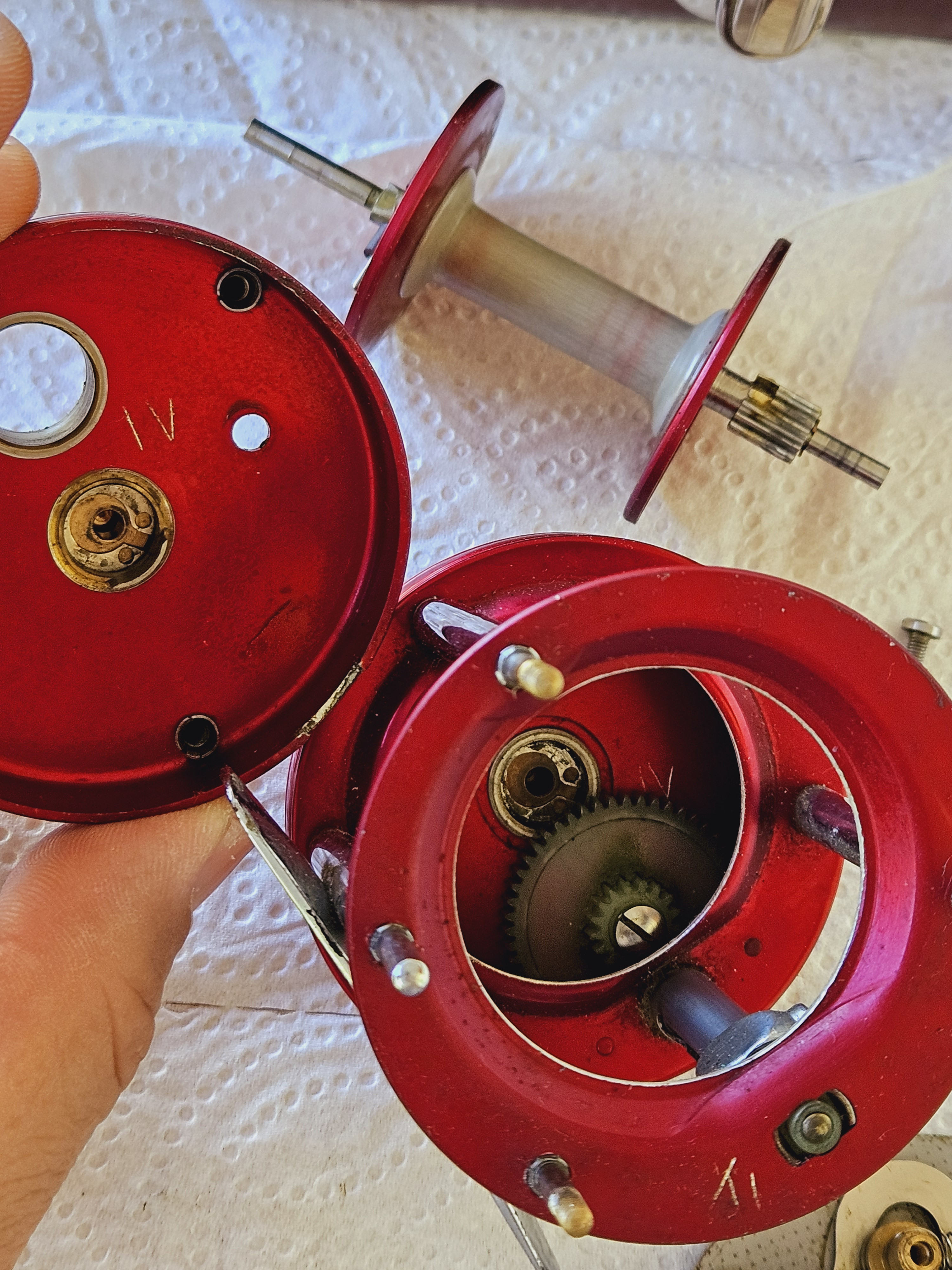 Click image for larger version

Name:	20240604_164954.jpg
Views:	634
Size:	2,57 MB
ID:	2641655