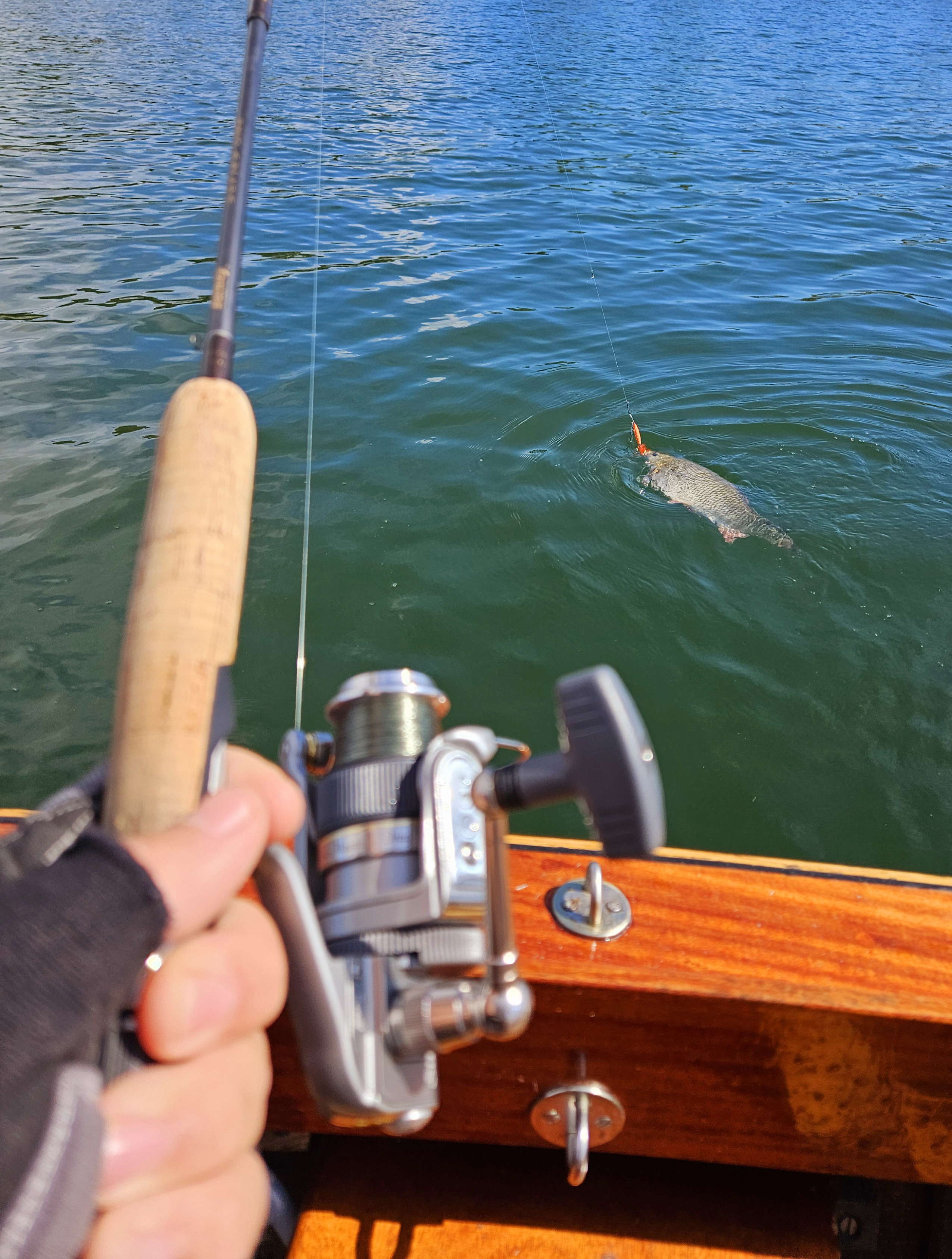 Click image for larger version

Name:	20240709_114553.jpg
Views:	472
Size:	1,95 MB
ID:	2643843