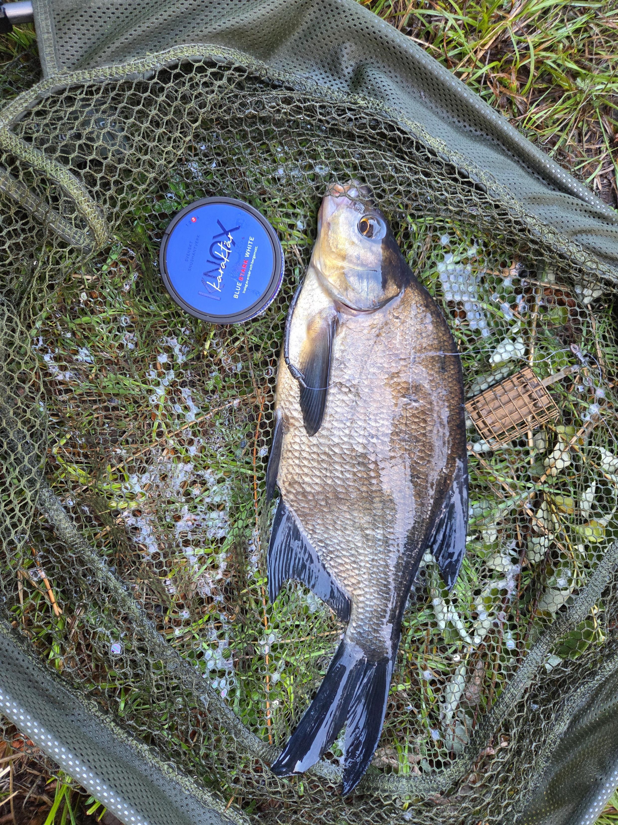 Click image for larger version

Name:	20250714_194001.jpg
Views:	128
Size:	1,97 MB
ID:	2656808