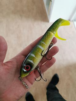 Click image for larger version

Name:	IMG_20250928_122245.jpg
Views:	97
Size:	1,20 MB
ID:	2660016