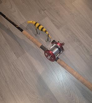 Click image for larger version

Name:	20251105_162506.jpg
Views:	317
Size:	1,67 MB
ID:	2661718