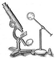 Click image for larger version  Name:	230px-Compound_Microscope_1876.jpg Views:	0 Size:	10,1 KB ID:	2528541