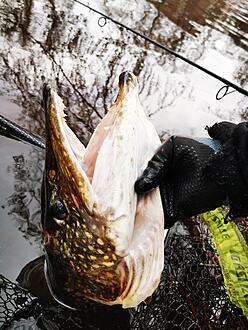 Click image for larger version  Name:	IMG_20240223_114543.jpg Views:	0 Size:	1,68 MB ID:	2635317