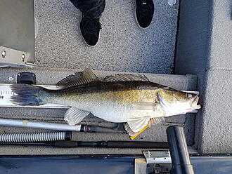 Click image for larger version  Name:	20201017_154101.jpg Views:	0 Size:	1,70 MB ID:	2562253