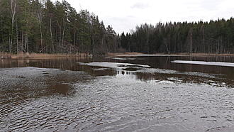 Click image for larger version

Name:	20200101_122734.jpg
Views:	449
Size:	1,52 MB
ID:	2531126