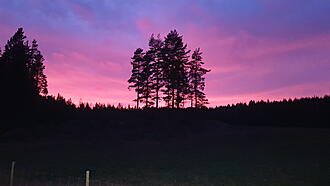 Click image for larger version

Name:	20200101_160452.jpg
Views:	435
Size:	2,47 MB
ID:	2531127