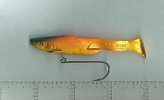 Click image for larger version  Name:	Red Gill Pilchard Gul.jpg Views:	5 Size:	63,0 KB ID:	2569399