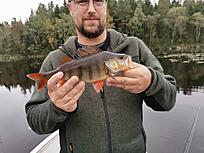 Click image for larger version

Name:	IMG_20200920_180856.jpg
Views:	387
Size:	2,69 MB
ID:	2560069
