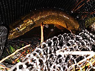 Click image for larger version

Name:	IMG_20201212_151334.jpg
Views:	237
Size:	1,80 MB
ID:	2566398