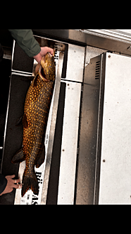 Click image for larger version

Name:	IMG_1013.png
Views:	412
Size:	1,44 MB
ID:	2659998