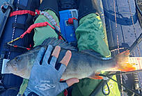 Click image for larger version

Name:	0_20240819_163915.jpg
Views:	534
Size:	2,09 MB
ID:	2645531