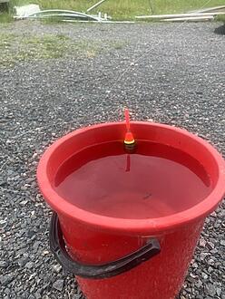 Click image for larger version

Name:	IMG_2462.jpeg
Views:	566
Size:	101,3 KB
ID:	2625715