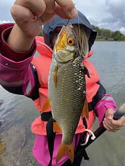Click image for larger version

Name:	IMG_3654.jpeg
Views:	352
Size:	1,46 MB
ID:	2625898
