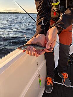 Click image for larger version

Name:	IMG_33741.jpg
Views:	596
Size:	149,0 KB
ID:	2629700